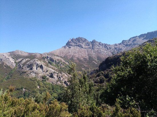 Δρακόσπιτα
