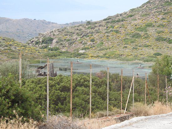 Παραλία Σάρπα